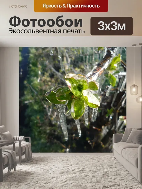 Фотообои Мороз