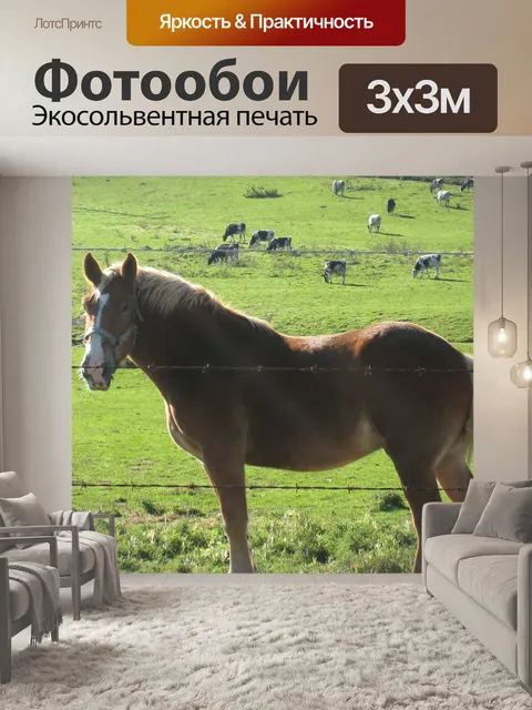 Фотообои Красивый коричневый horse