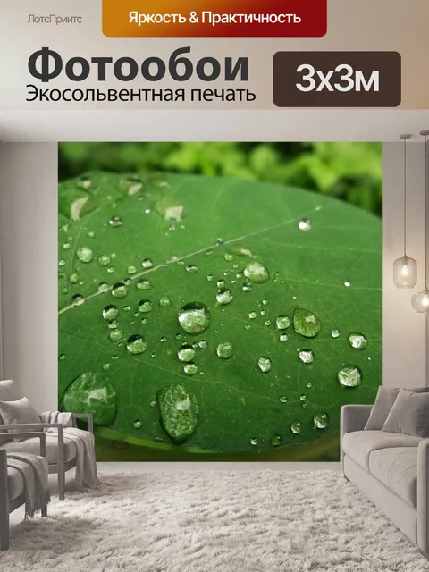 Фотообои Лист