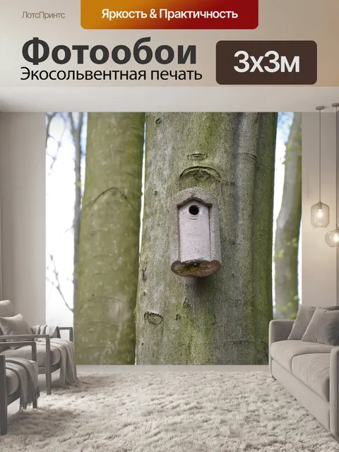 Фотообои Лес