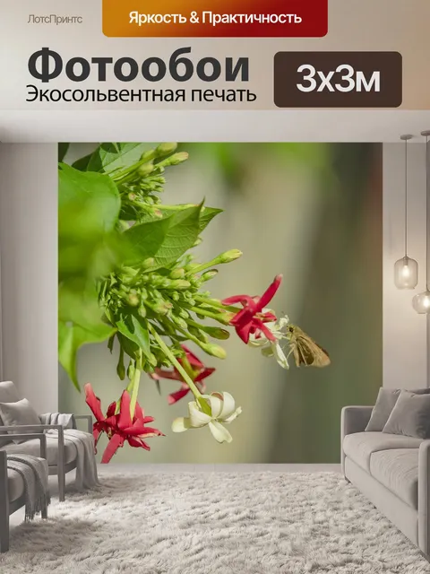 Фотообои Цветок