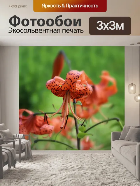 Фотообои тигровая лилия