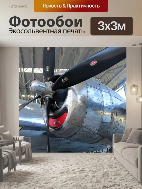 Фотообои Бомбардировщик