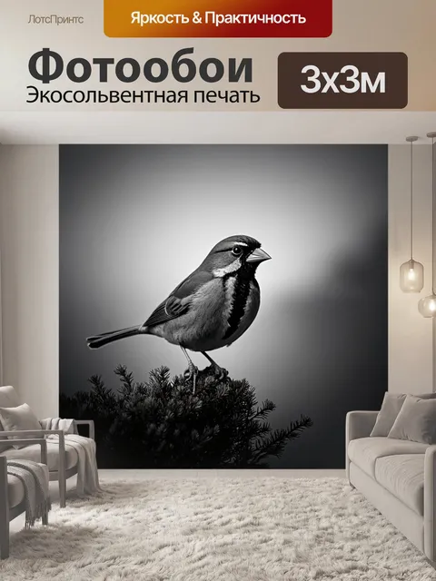 Фотообои животные в стиле нуар, воробей, сидящий на кусте при тусклом свете рассвета, готовящийся к полету