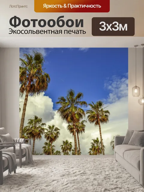Фотообои Пальмы
