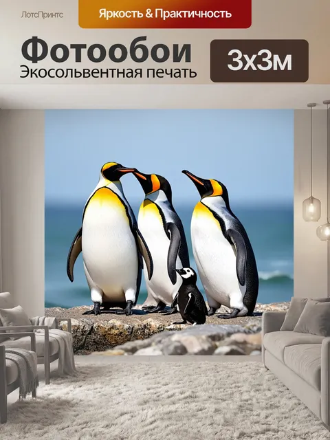 Фотообои Три пингвина королевского вида стоят на каменистом побережье