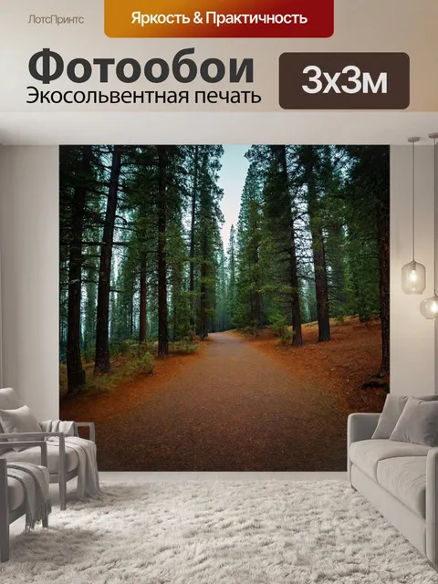 Фотообои сосновый бор с освещённой дорожкой, тихий и спокойный пейзаж
