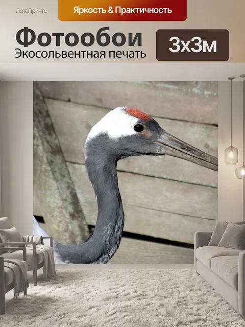 Фотообои Японский журавль