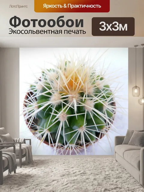 Фотообои Золотой шар кактус