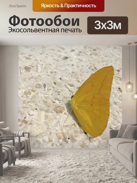 Фотообои Бабочка