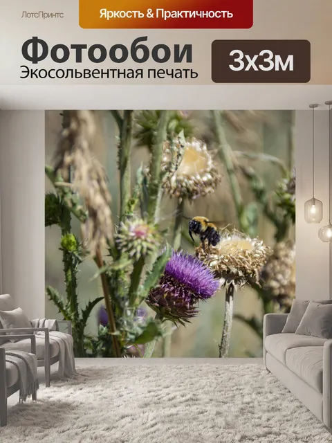Фотообои Шмель на Кардоне