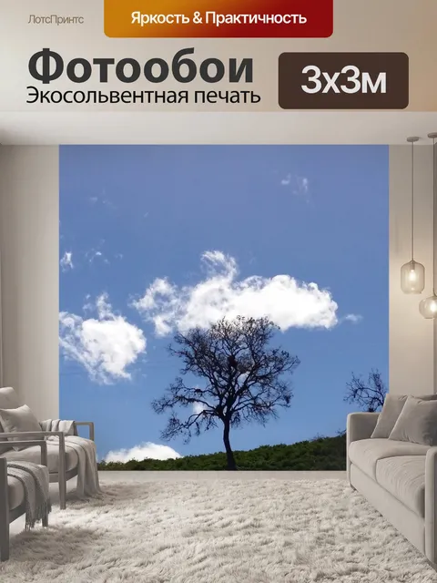 Фотообои Дорогой