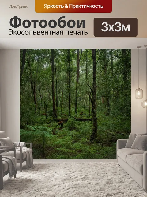 Фотообои лес с редкими видами животных, совсем на поверхности с крупными кронами