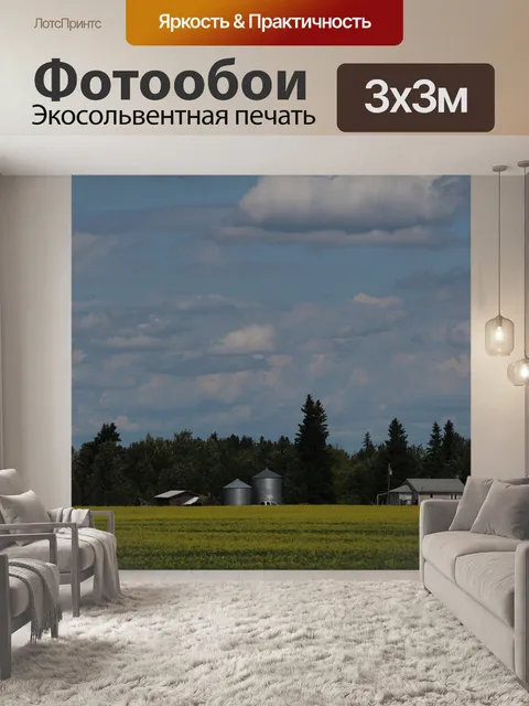 Фотообои Ферма канолы