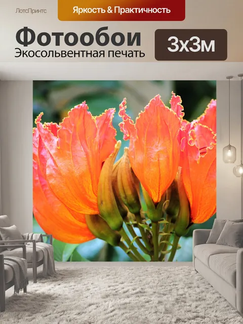 Фотообои большой оранжевый цветок