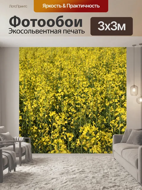 Фотообои Желтое поле канолы