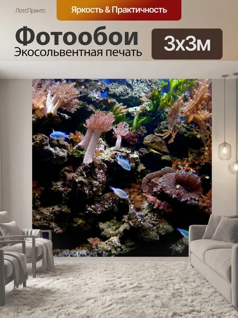Фотообои Коралловый риф