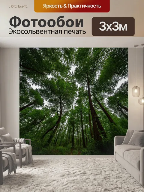 Фотообои высокие буйные деревья, грациозно растущие в разные стороны