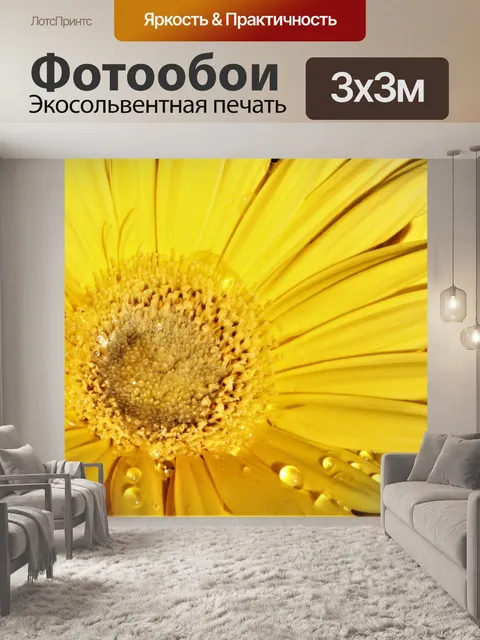 Фотообои Желтая гербера Дейзи Макро