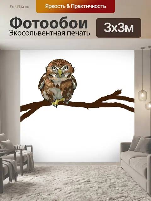 Фотообои Иллюстрация сова