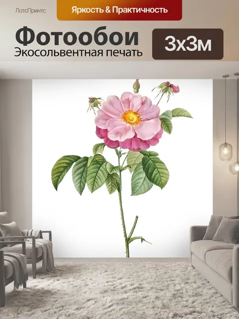 Фотообои Винтаж Клипарт Розы Цветы