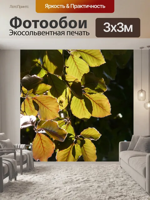 Фотообои Кровавый бук