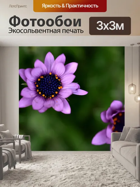 Фотообои Африканец