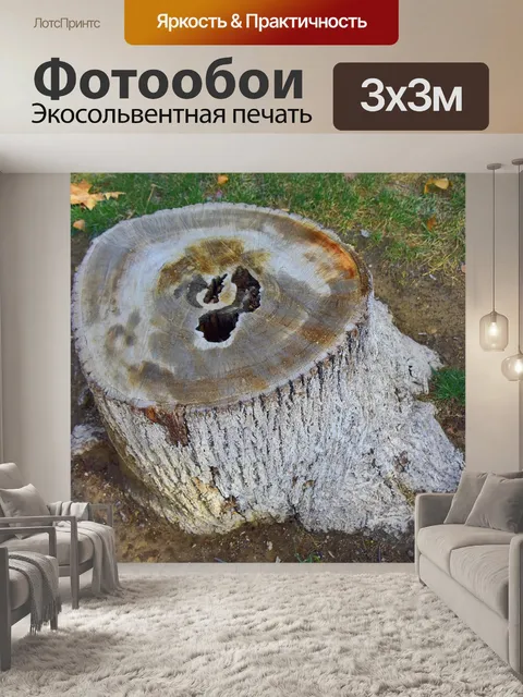 Фотообои Ствол