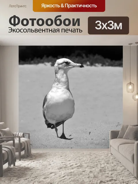 Фотообои Чайка Прогулки на песке