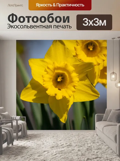 Фотообои Желтый цветок, Нарцисс