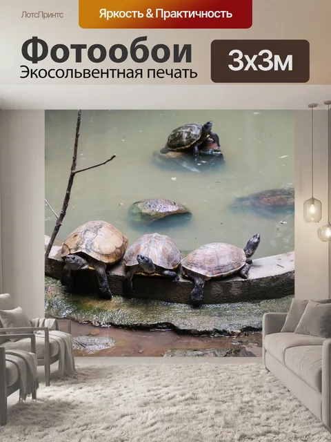 Фотообои Черепаха