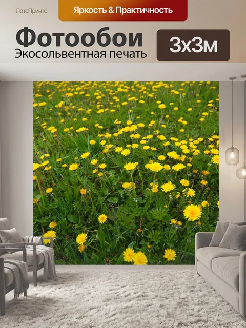 Фотообои Одуванчик поле
