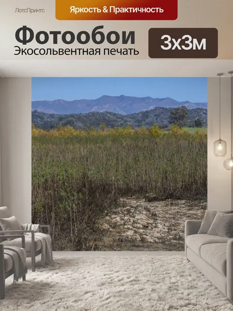 Фотообои Пейзаж