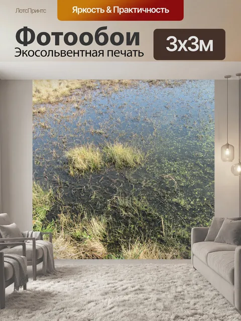 Фотообои Река в засухи 8