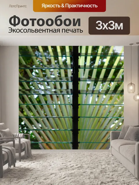 Фотообои Пальма