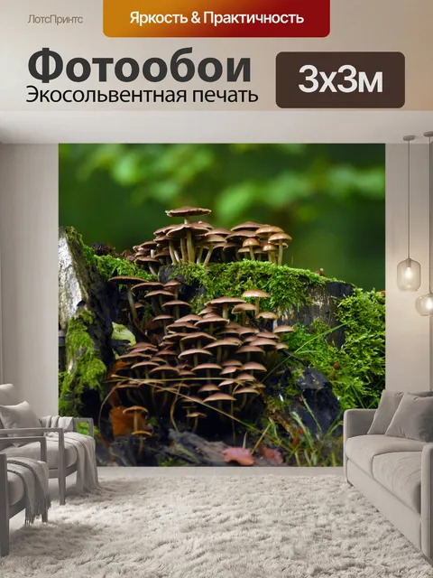 Фотообои Грибы