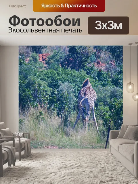 Фотообои Жираф со спины с шеей бен