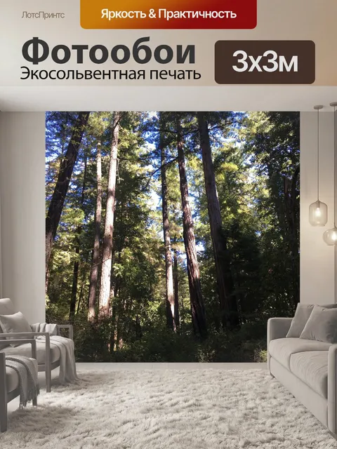 Фотообои Красное дерево