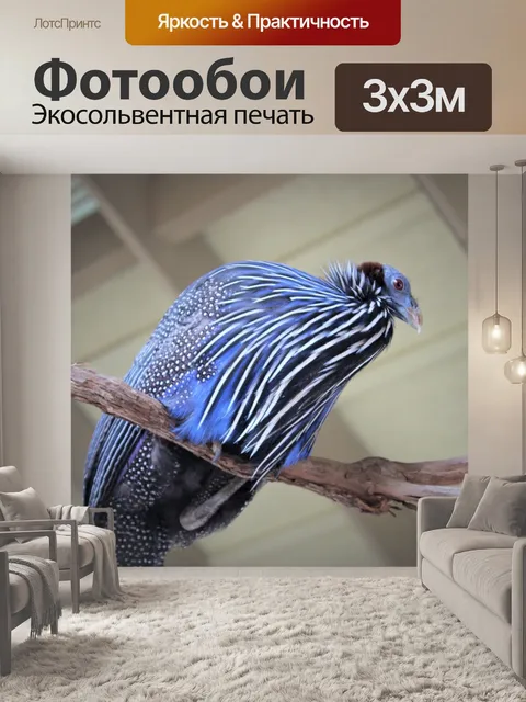 Фотообои Птицы