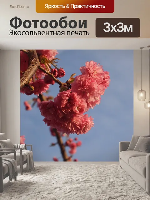 Фотообои Голубое небо