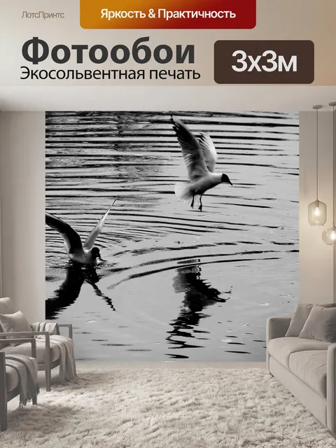 Фотообои Чайка