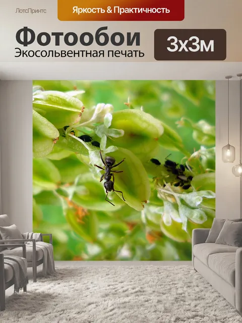 Фотообои Муравьи