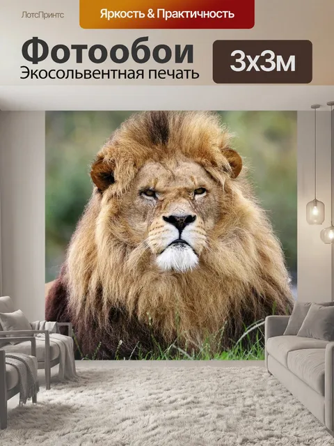 Фотообои Лев