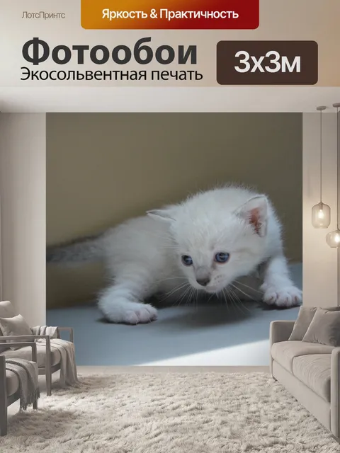 Фотообои Котенок кошка кошка кошка милый маленьки