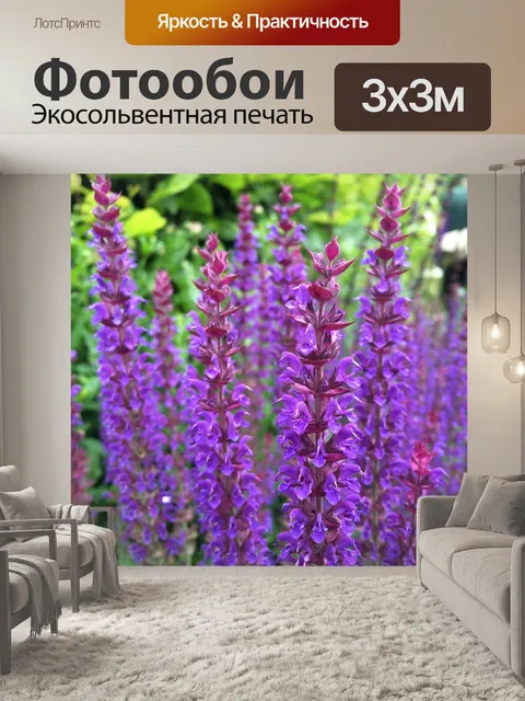 Фотообои Цветок