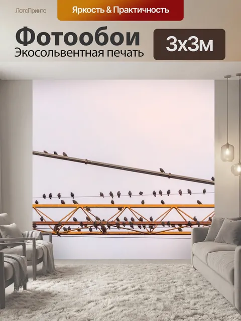 Фотообои Перелетные птицы