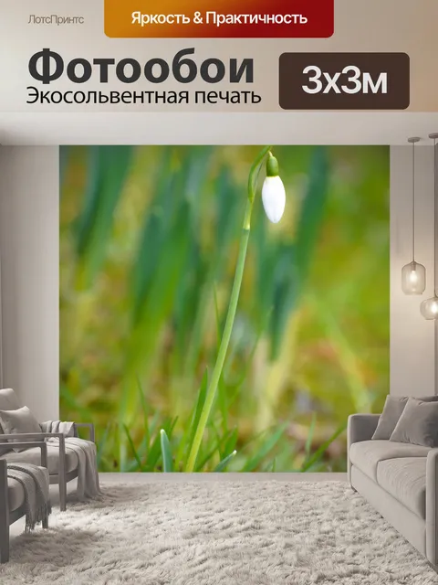 Фотообои Весна Подснежник