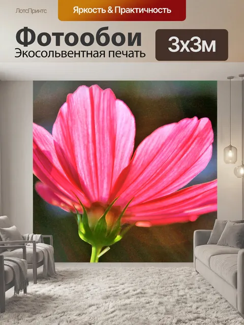 Фотообои розовый цветок космос
