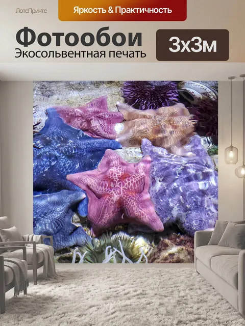 Фотообои морская звезда
