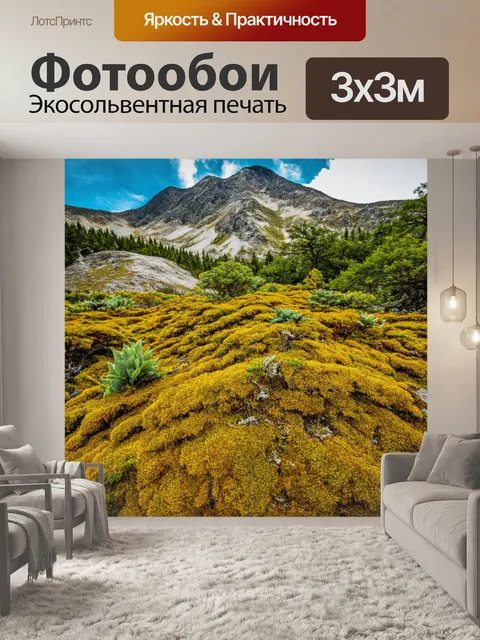 Фотообои горы с растущими редкими видами растений, создающими уникальную экосистему